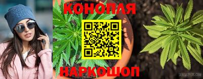 спиды Севастополь